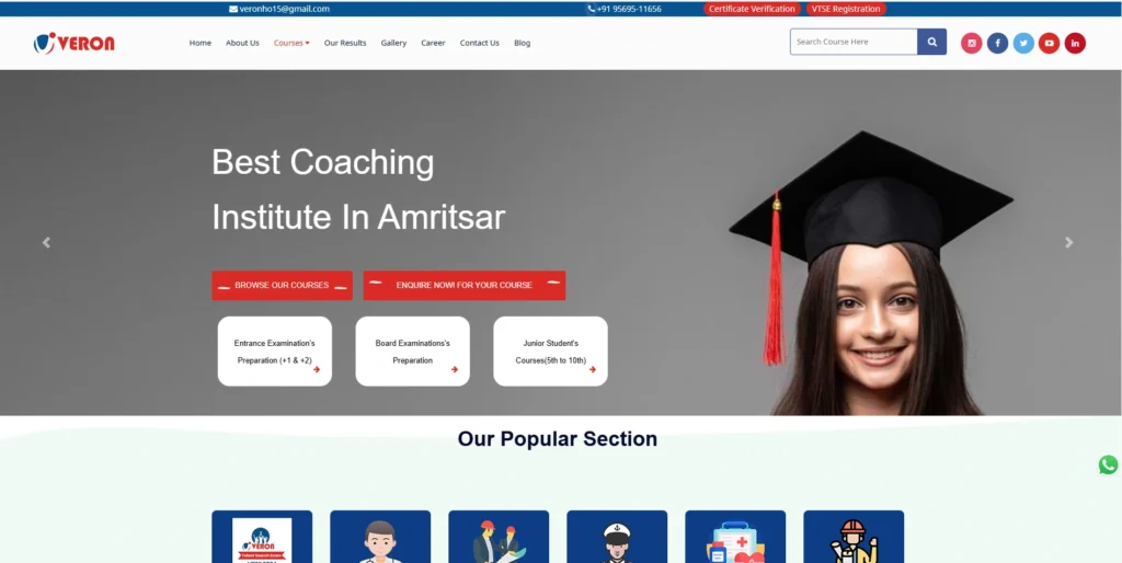 Veron Institute-Digital Marketing Courses in Amritsar